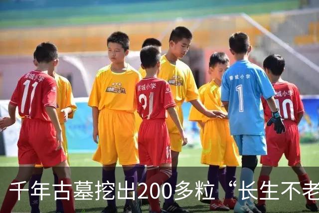 千年古墓挖出200多粒“长生不老仙丹”，化验结果令专家震惊