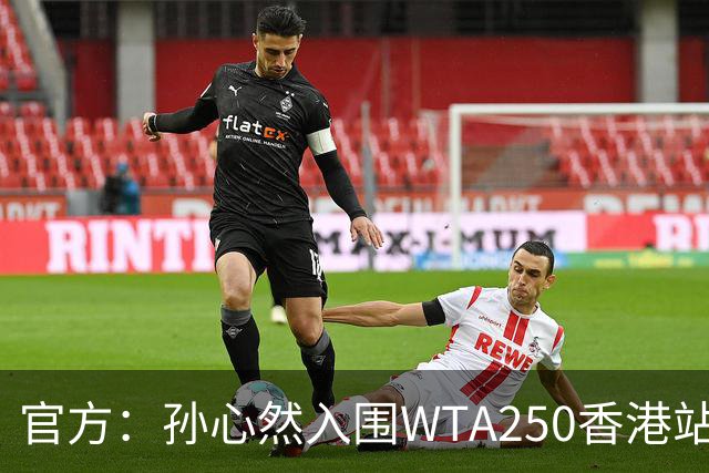 官方：孙心然入围WTA250香港站正赛