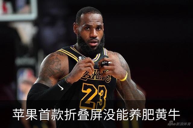 苹果首款折叠屏没能养肥黄牛