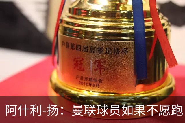 阿什利-扬：曼联球员如果不愿跑，我觉得孔蒂来了会是灾难