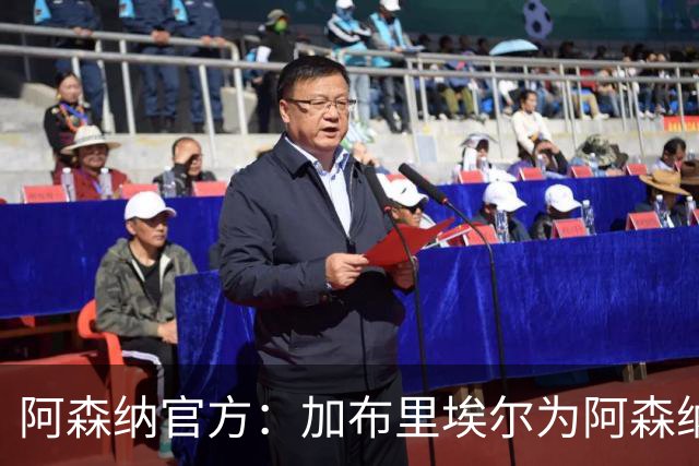 阿森纳官方：加布里埃尔为阿森纳完成200场英超出场